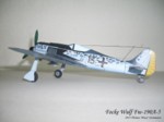 Focke Wulf Fw-190A-5 (09).JPG

59,15 KB 
1024 x 768 
28.06.2014
